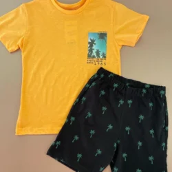 Conjunto Havaí