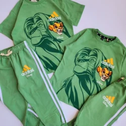 Conjunto Rei Leão