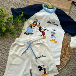 Conjunto de verão Disney