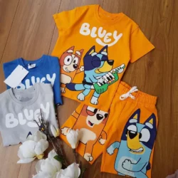 Conjunto de Verão Bluey