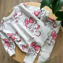 Conjunto Minnie Sorridente