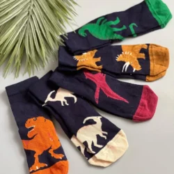 Kit com 5 Meias Dino