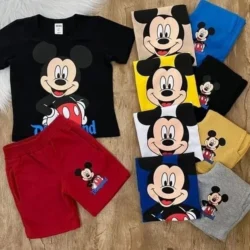 Conjunto Disneyland