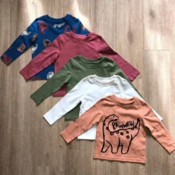 Kit 5 Blusas Manga Longa